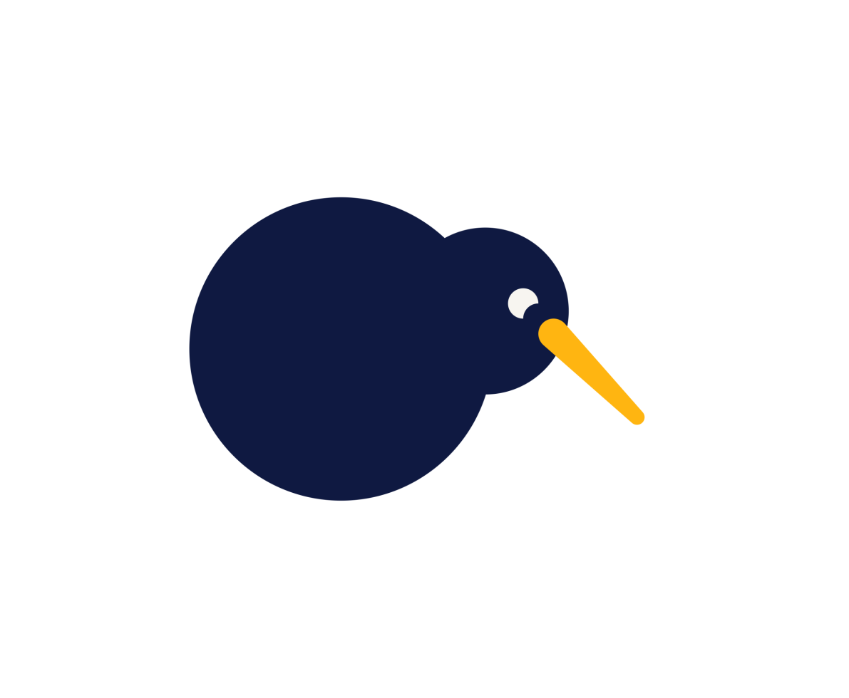 an illustration of a kiwi bird