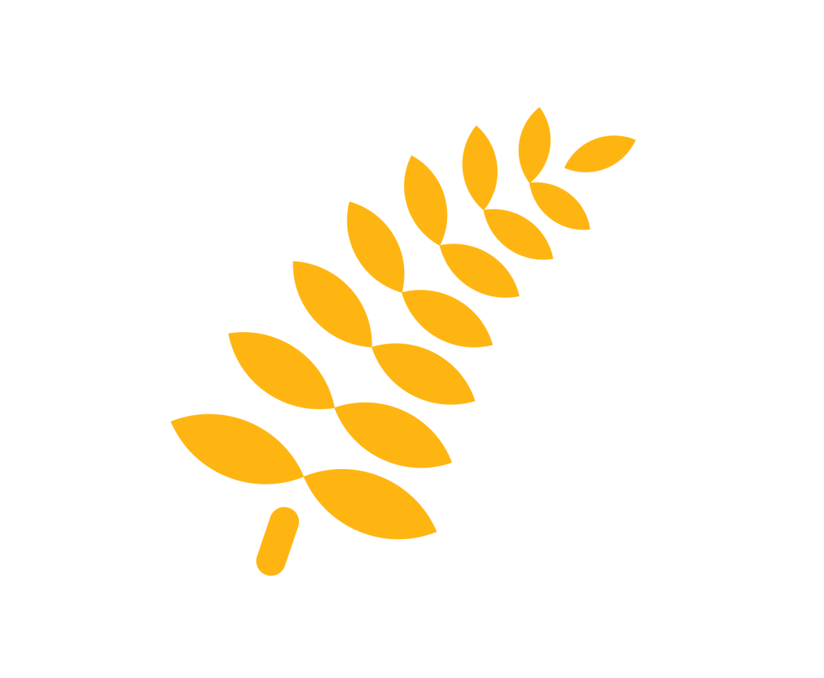 an illustration of a leaf