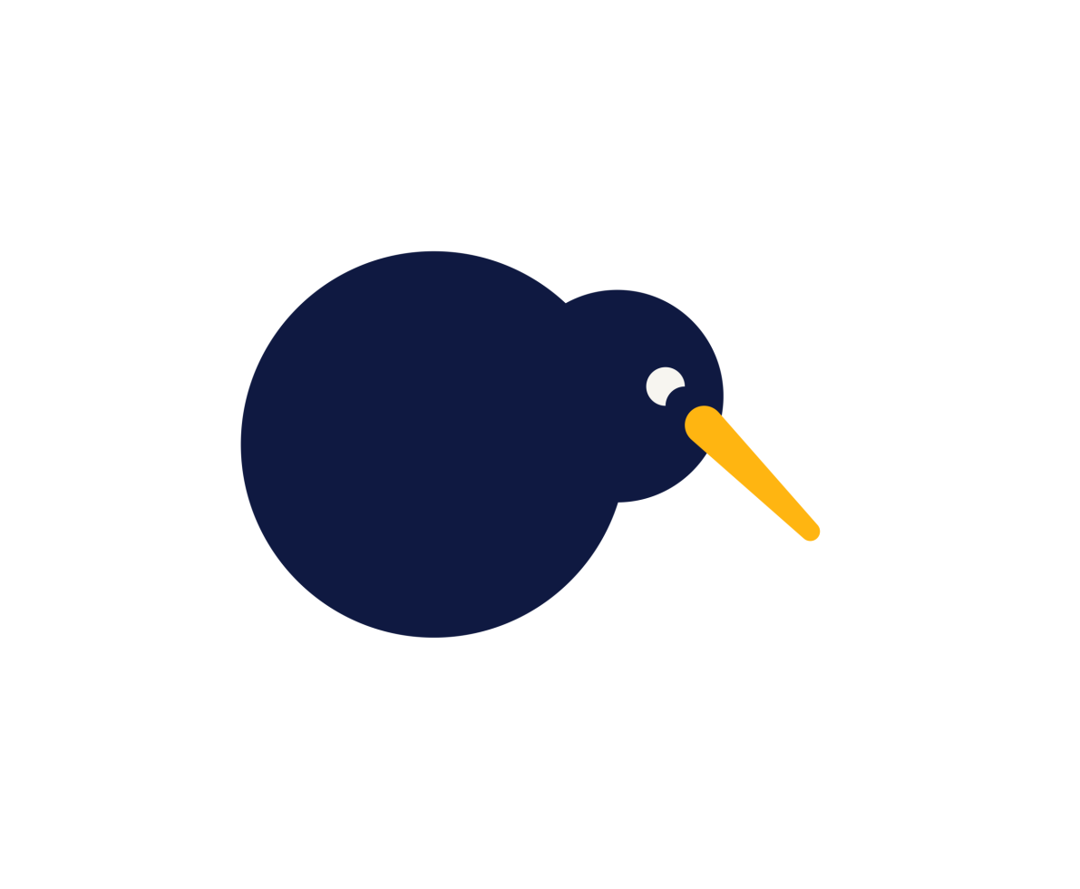 An illustration of a Kiwi bird
